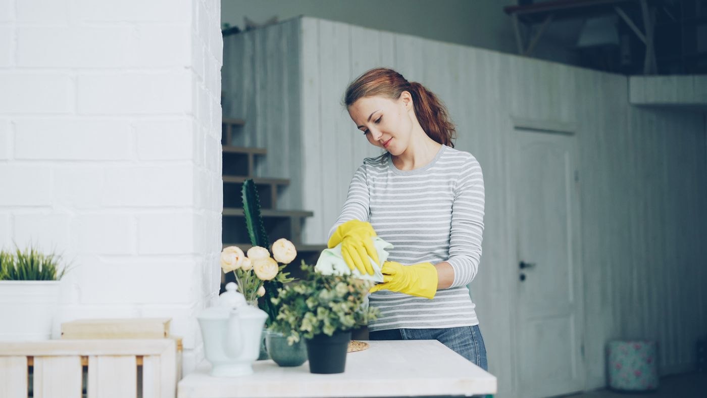 Woman Cleaning Indoors Wearing Rubber Gloves