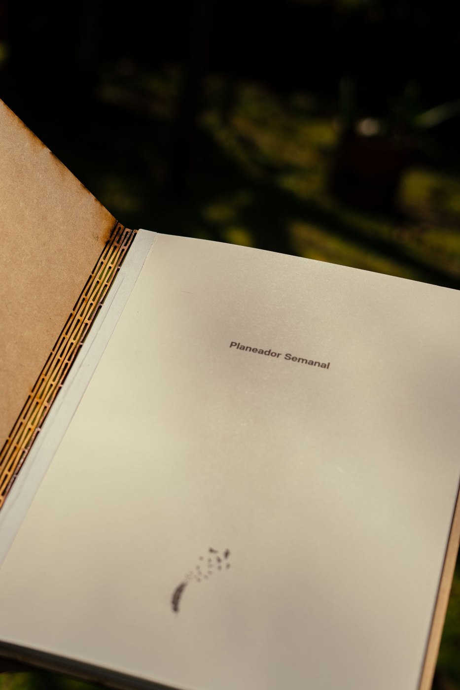 An open planner on a table