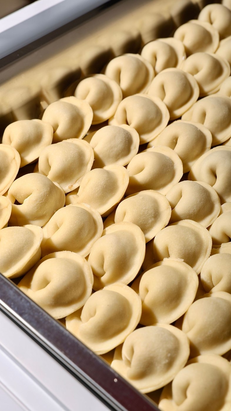Frozen Dumplings in Metal Container Close-Up